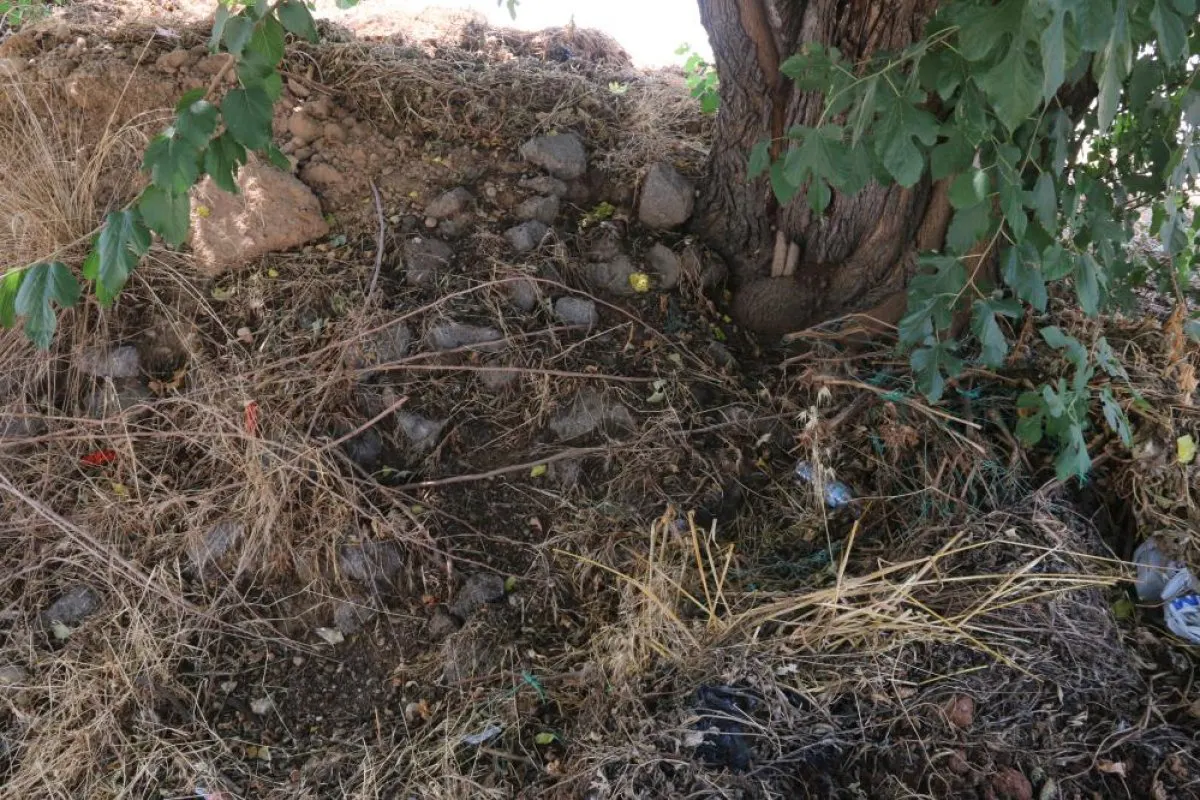 Antalya’da ağaç altında 10 günlük bebek bulundu