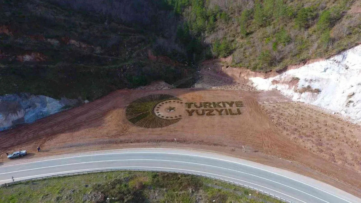 Artvin’de 36 bin fidanla 'Türkiye Yüzyılı' logosu işlendi