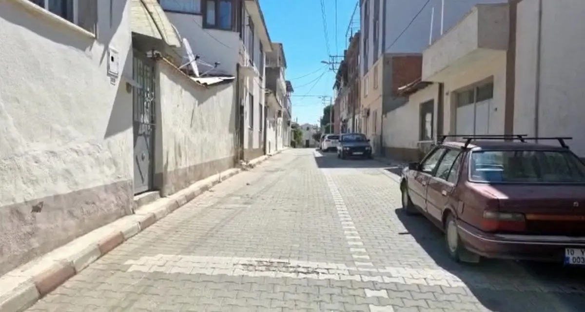 Balıkesir'deki sokağı kene ve pireler bastı