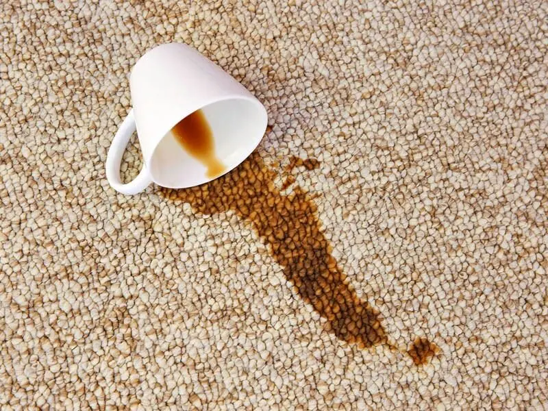 Çay lekesi halıdan nasıl çıkar?