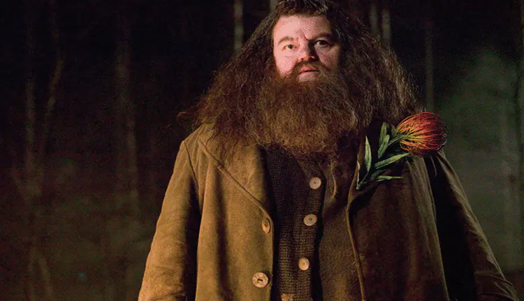 Harry Potter serisinin ünlü oyuncusu öldü