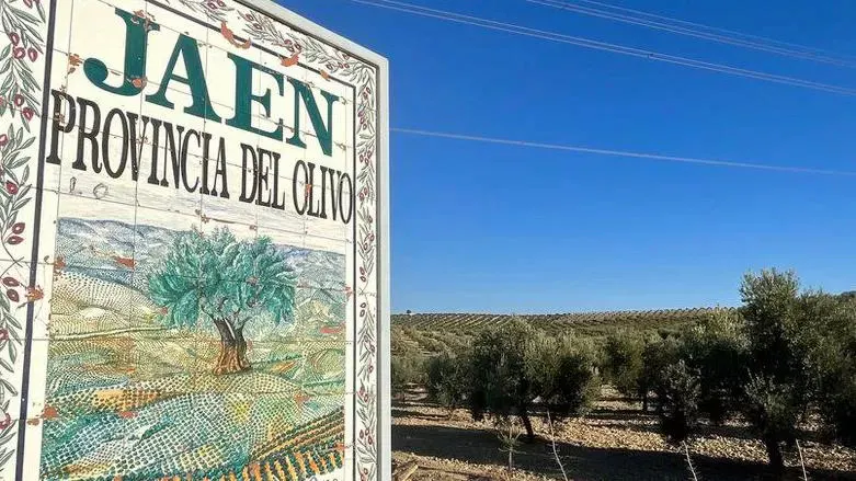 Kuraklık İspanya'nın 'Avrupa'nın bahçesi' unvanını elinden alabilir mi?