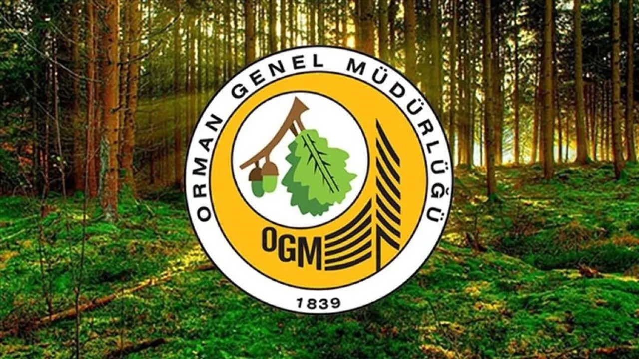 OGM Personel Alımı Sonuçları Açıklandı Mı, Ne Zaman Açıklanacak? OGM Personel Alımı Sonuçları Nasıl Öğrenilir?Eşit Puan Durumunda Hangi Kriterler Dikkate Alınacak?