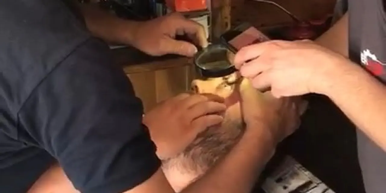 Şifayı hastanede değil tornacıda buldu