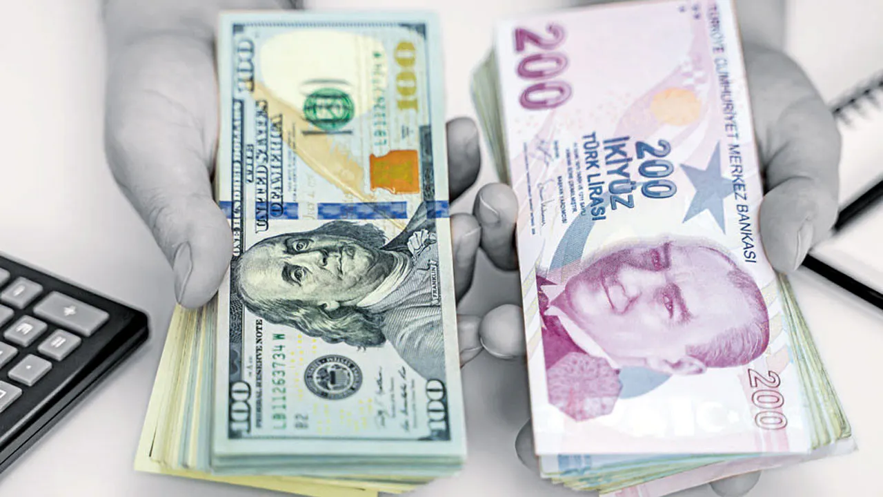 TL ve Dolar bazında yatırım arasındaki farklar neler? Hangisi tercih edilmeli?