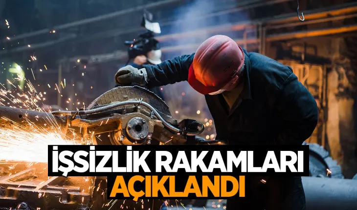 TÜİK, ağustos ayı iş gücü istatistiklerini yayınladı