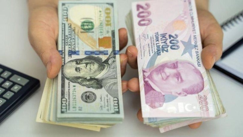 Tasarruflarda döviz talebi sürüyor