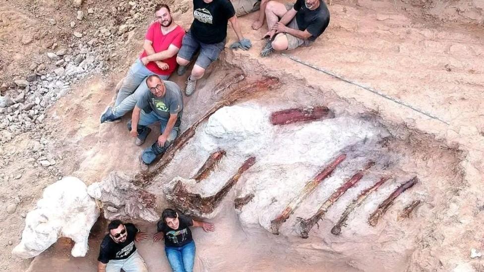 Bahçeden dev dinozor fosili çıktı