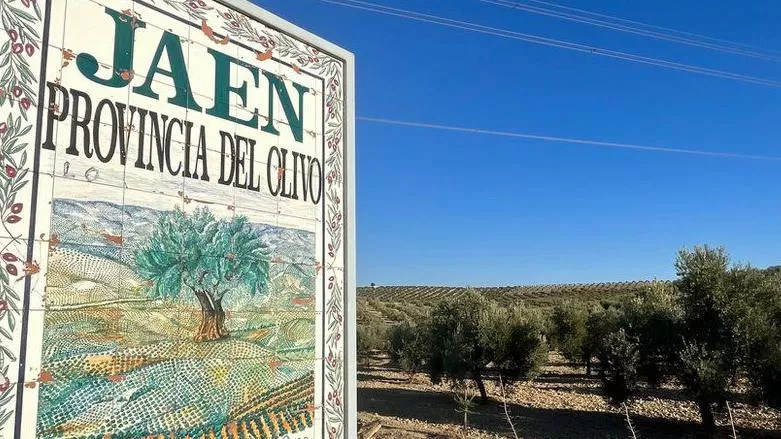 Kuraklık İspanya'nın 'Avrupa'nın bahçesi' unvanını elinden alabilir mi?