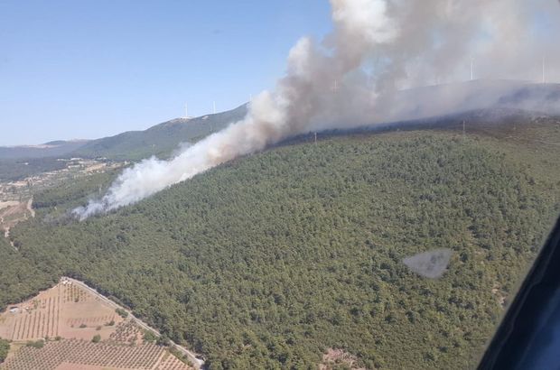 Soma’da orman yangını: Havadan ve karadan müdahale