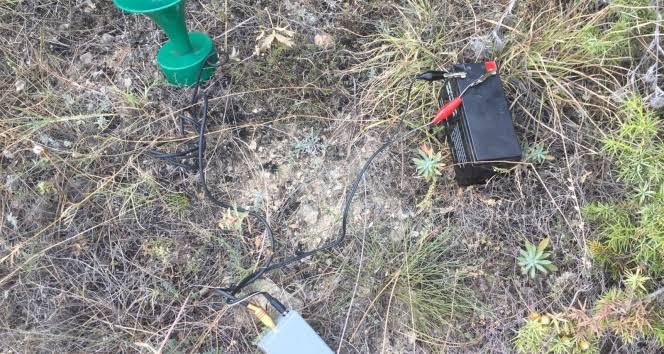 Kuş sesi çıkaran teyple avcılık yapıyorlardı, jandarmaya yakalandılar