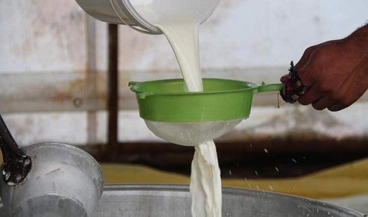 Çiğ süt alım fiyatı belli oldu