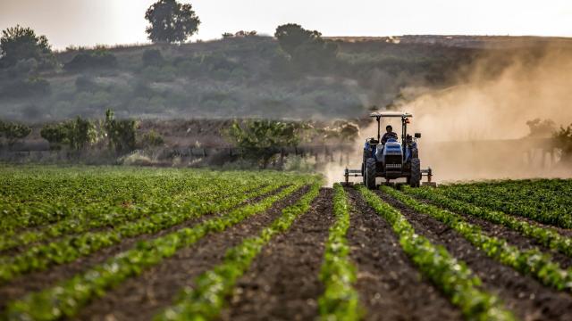 713,8 milyonluk tarım destek ödemesi hesaplara geçiyor