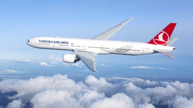 THY, 2023'te 3 bin 800 kabin memuru ve pilot alacak