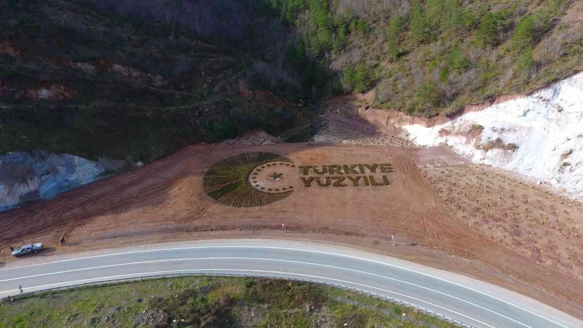 Artvin’de 36 bin fidanla 'Türkiye Yüzyılı' logosu işlendi