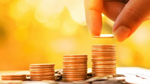 Bankalar coştu! Faiz getirilerinde tavan nokta!  
