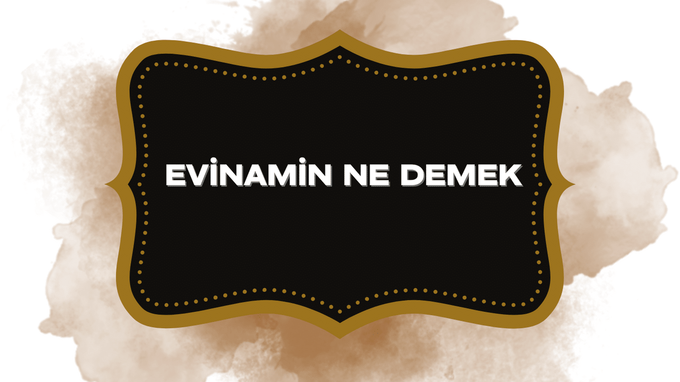 Evinamın ne demek kürtçe anlamı? Evinamin, Welatemine, Rojbaş Dilemin ne demek? 
