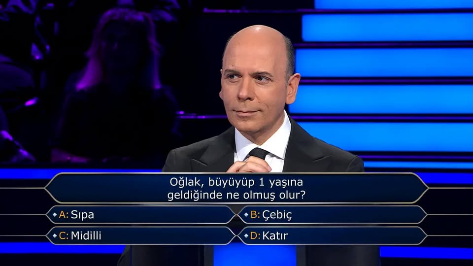 Oğlak, büyüyüp 1 yaşına geldiğinde ne olmuş olur? Sipa, Çebiç, Midilli, Katır!